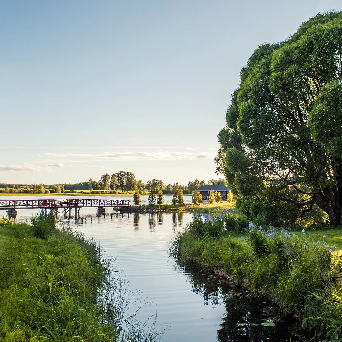 Uiskolan ranta